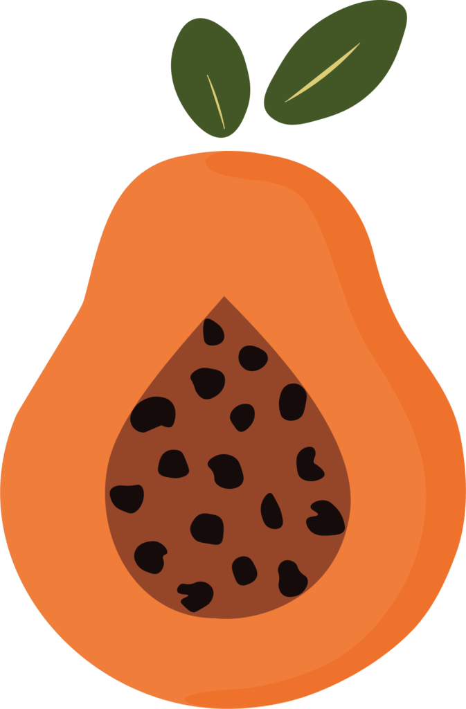 Logo van Paw & Papaya Art Studio in de vorm van een papaya met 2 groene bladeren, zonder de tekst erbij.